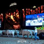 38ª Festa do Peão de Americana abre edição histórica dos 40 anos com novo palco, grandes estreias e estrutura grandiosa
